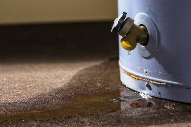 Best Emergency water damage restoration  in Wernersville, PA