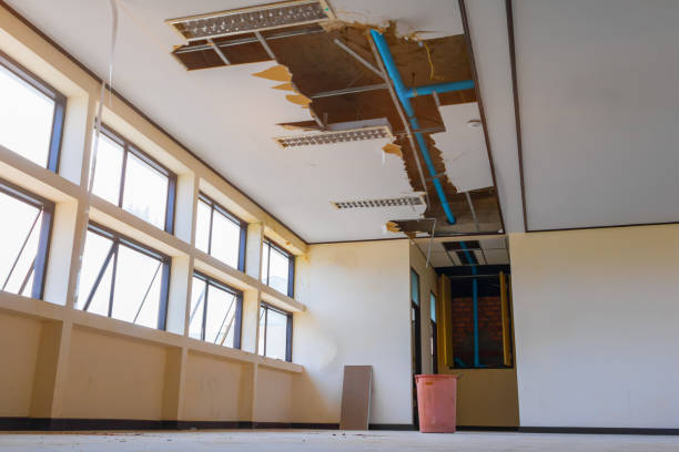 Best Water damage restoration experts  in Wernersville, PA