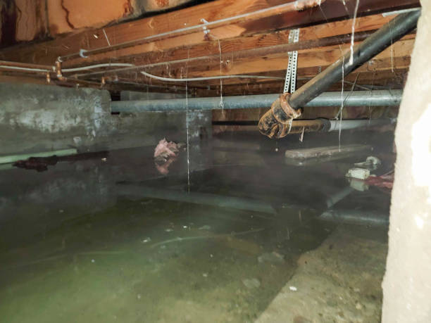 Best Water damage restoration near me  in Wernersville, PA