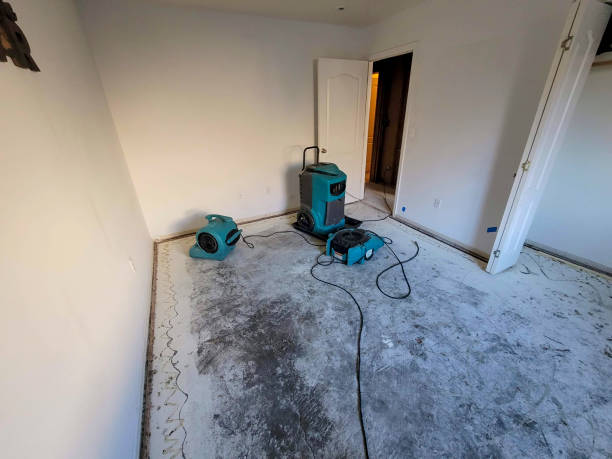 Best Water damage restoration insurance claims  in Wernersville, PA