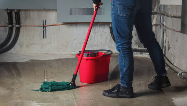 Best Local water damage restoration  in Wernersville, PA