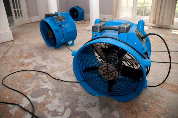 Best Water damage restoration near me  in Wernersville, PA