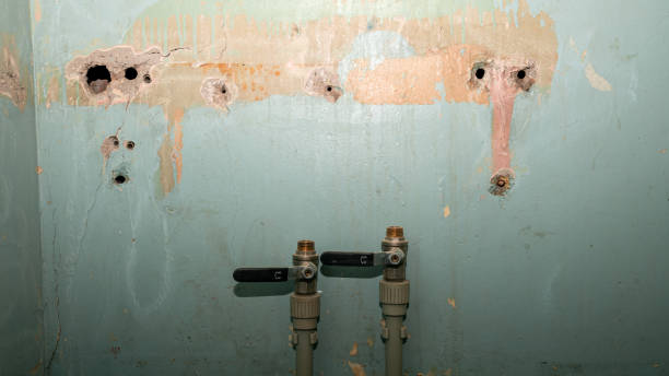 Best Basement water damage restoration  in Wernersville, PA