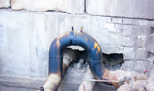 Best Mold removal after water damage  in Wernersville, PA