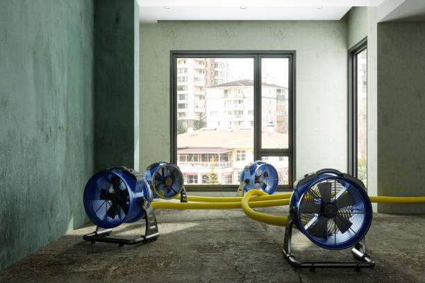 Best Ceiling water damage repair  in Wernersville, PA